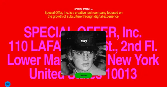 Cover image of "Special Offer, Inc."