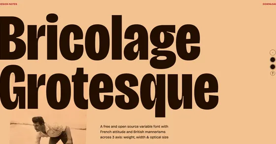 Cover image of "Bricolage Grotesque"
